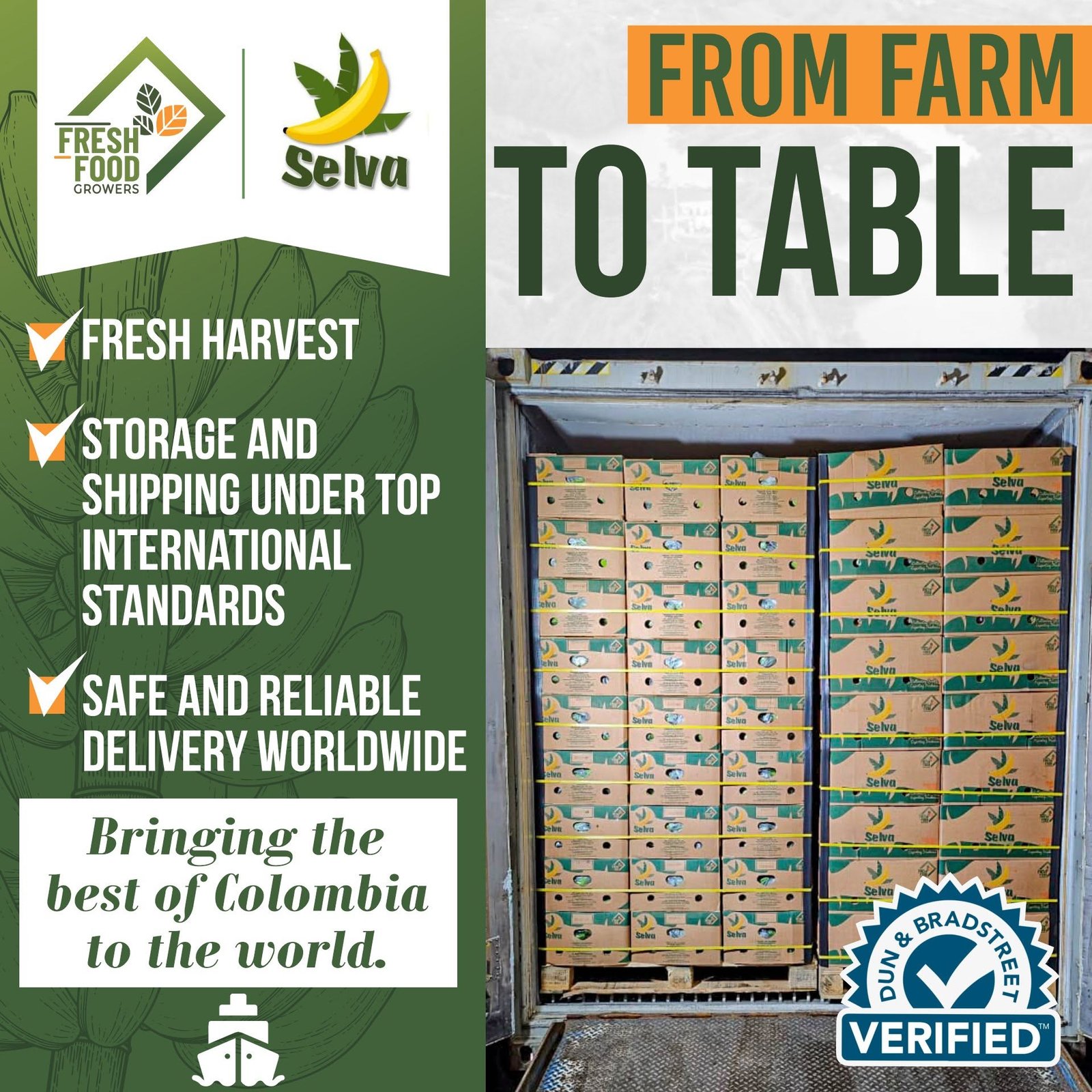 Plantain packaging and quality