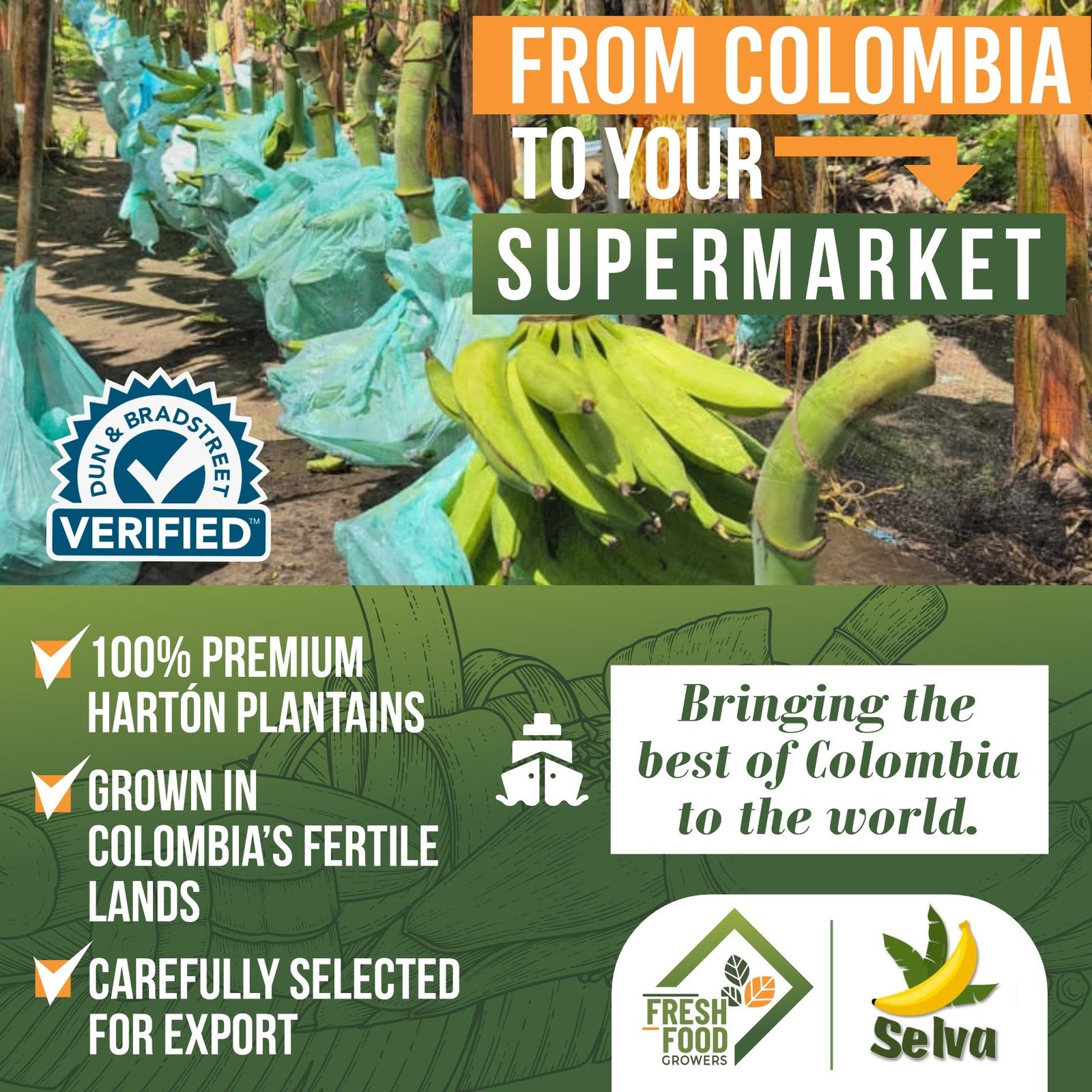 Selva commercial material