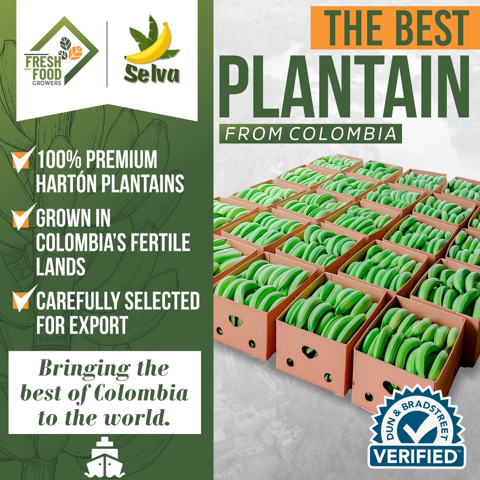 Plantain product closeup