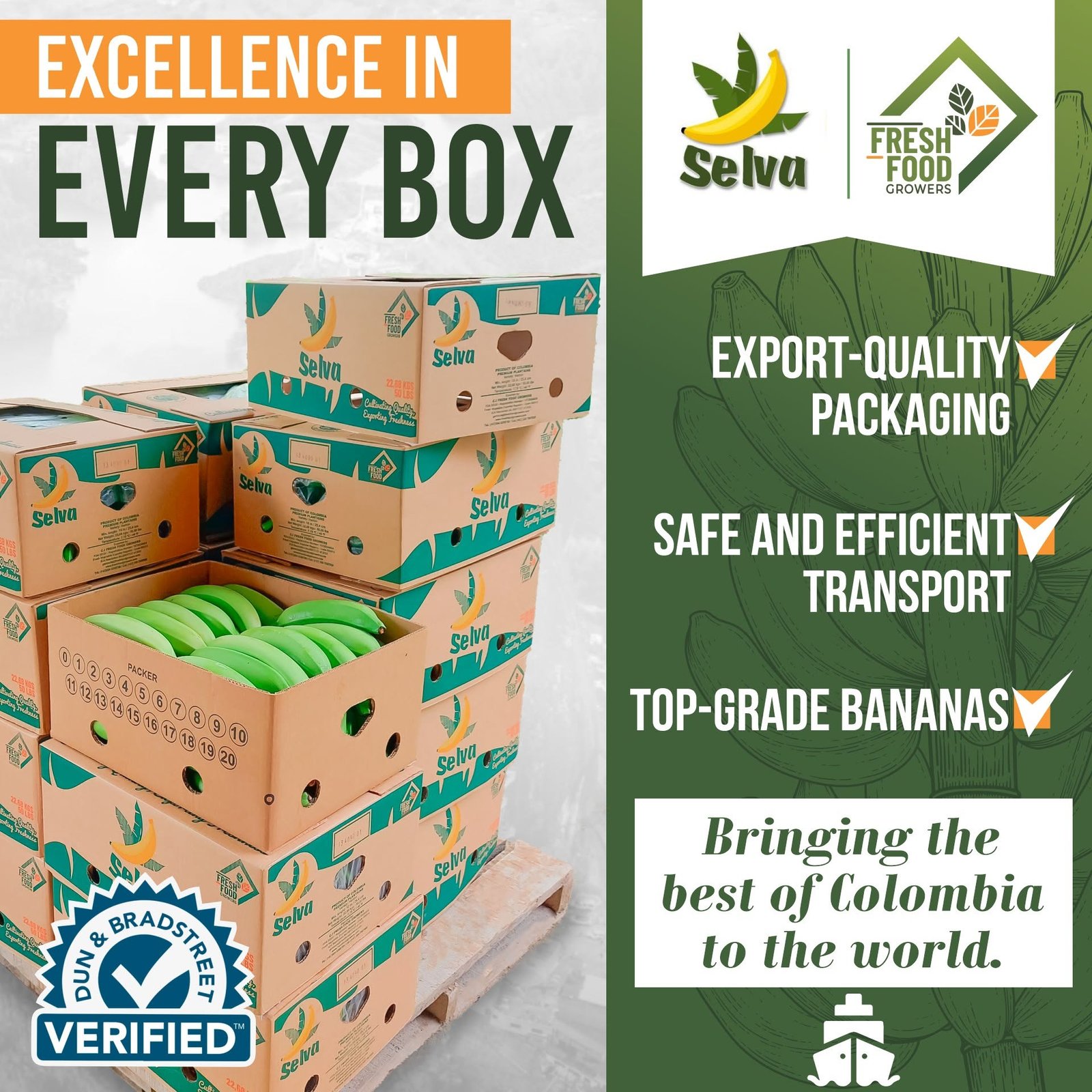 Selva premium plantain image